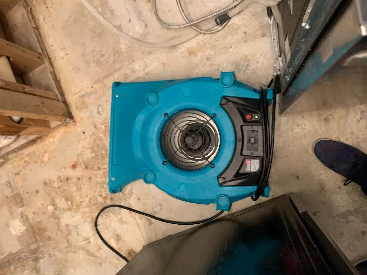 Air mover drying equipment for Mold Remediation & Removal in Woodmoor
